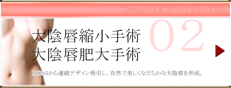 大陰唇縮小手術
・大陰唇肥大手術