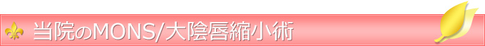 当院のMONS/大陰唇縮小術