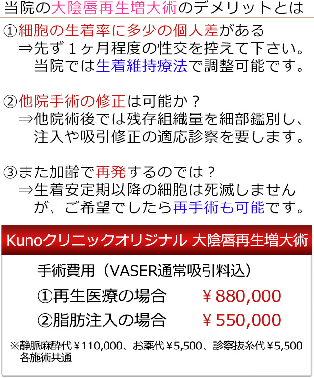 大陰唇再生増大術の料金