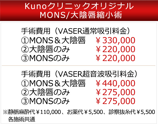 MONS/大陰唇縮小術の料金