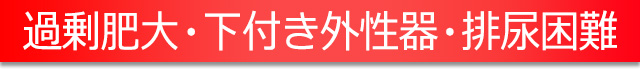 過剰肥大・下付き外性器・排尿困難