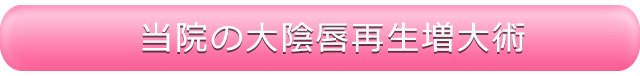 当院のMONS/大陰唇縮小術