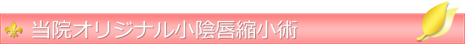 当院オリジナル小陰唇縮小術