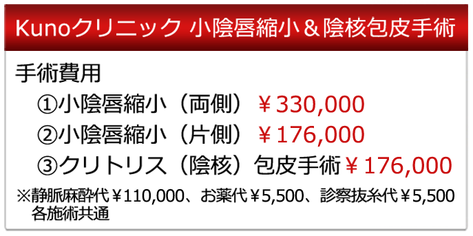 手術費用 脂肪注入