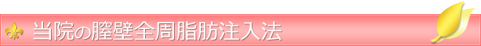 当院の膣壁全周脂肪注入法