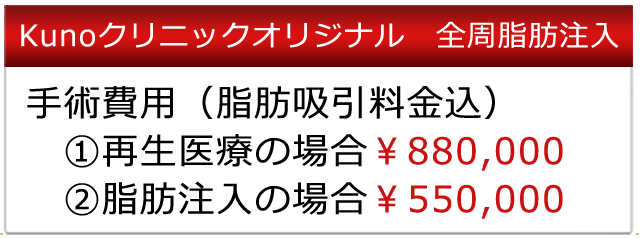 手術費用　脂肪注入