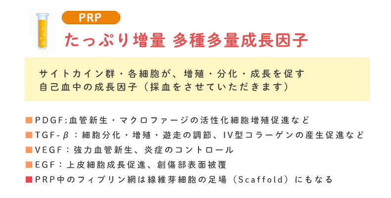 たっぷり増量 多種多量成長因子